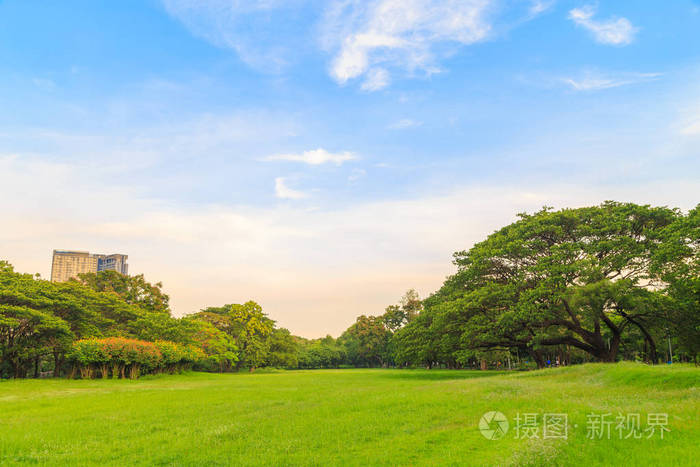 公园里美丽的草坪和树木, 有云彩和蓝天