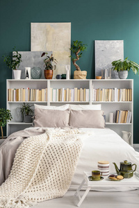 白色书架背后的双层床与毯子和枕头, 植物和绘画在一个绿色的卧室内部