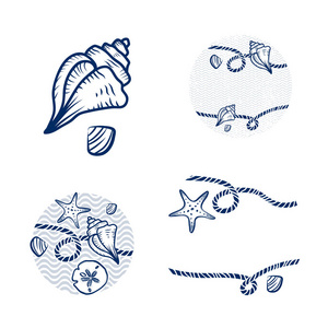 海贝壳和绳设计方案集图片