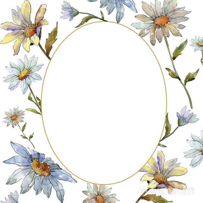 背景,质地,包装图案,框架或边框的水彩画野花