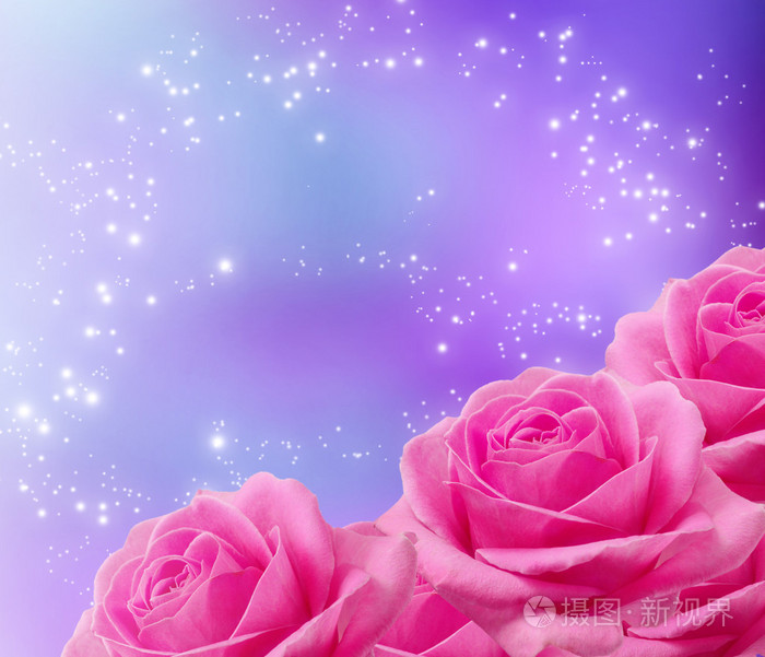 玫瑰和星星