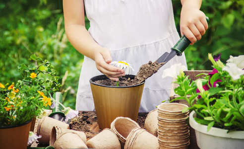 一个小女孩正在种花.年轻的园丁.选择性聚焦照片