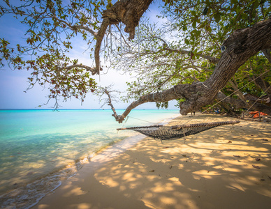 在海滩上，选择性焦点一棵树下的吊床