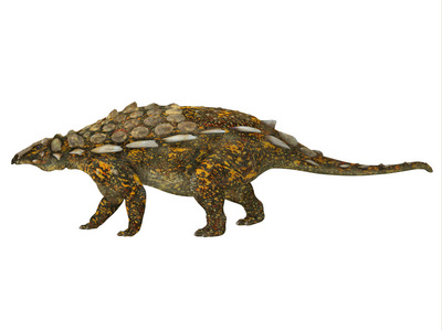 Gargoyleosaurus 侧剖面