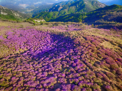 Hwangmae 山, 韩国, 亚洲的景观