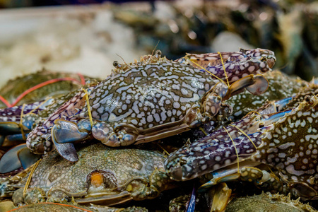 在泰国当地市场销往新鲜海螃蟹