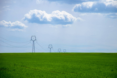 绿色的谷田，年轻与电力杆在蓝天白云下的视图