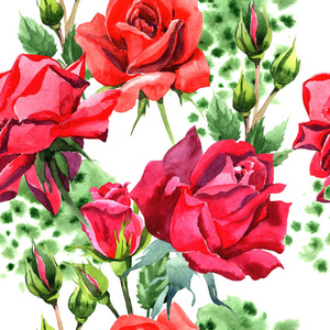 红色杂交玫瑰。花卉植物花。无缝的背景图案。织物墙纸打印纹理。背景质地包装图案框架或边框的水彩画野花