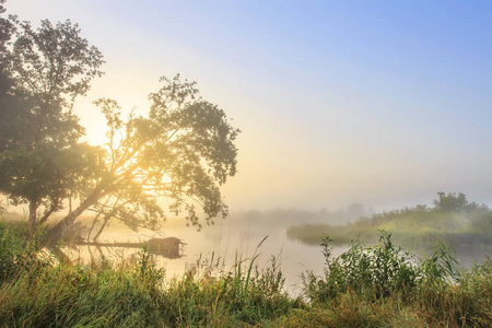 清晨在日出的河岸的夏季景观。清晨的自然在河上。风景秀丽的河与升起的太阳在树之后