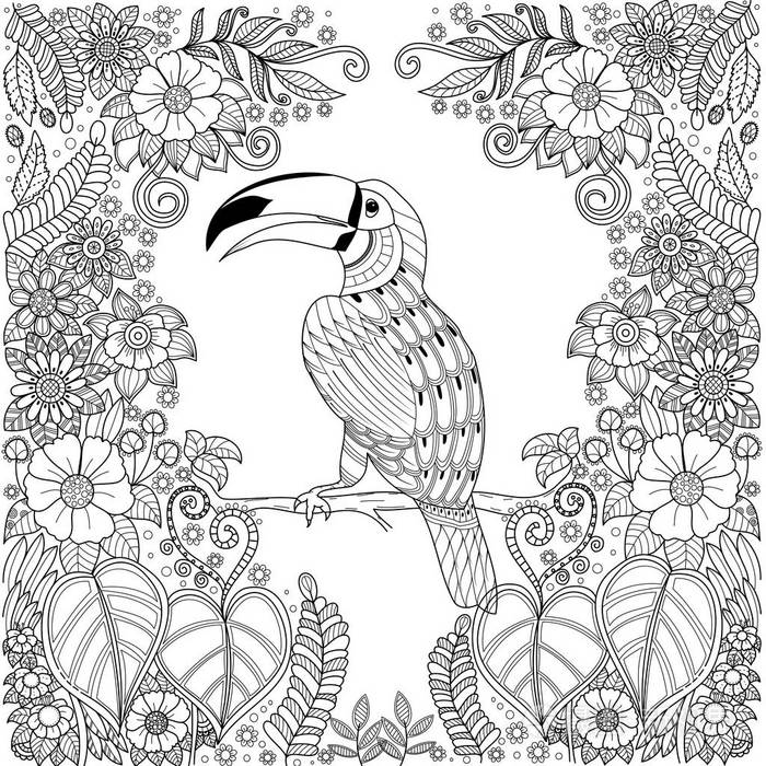 热带犀鸟鸟 zentangle 在丛林中用鲜花为成人着色书页. 矢量插图.手绘