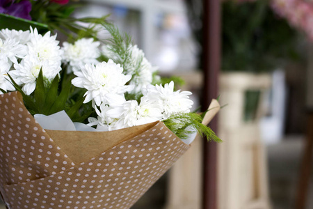 盛开的白菊花图片