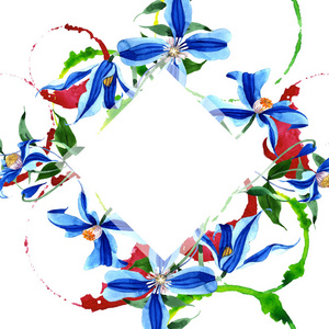 蓝 durandii 铁线莲。花卉植物花。框边框装饰广场。背景质地包装图案框架或边框的水彩画野花