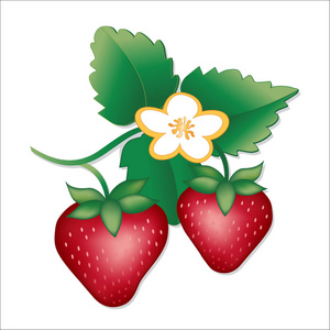 草莓 花园新鲜水果