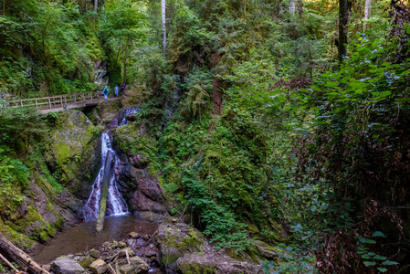 Wutach 峡谷与河流和瀑布漫步在美丽的 blackforest, 德国的景观