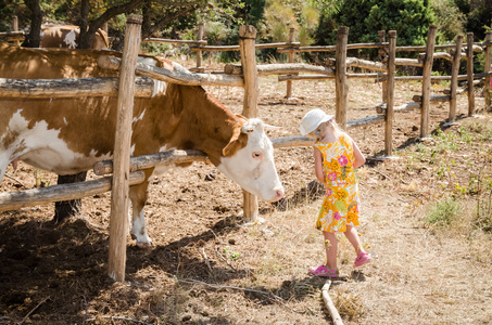 女孩和奶牛