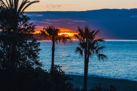 西班牙日落时棕榈树剪影