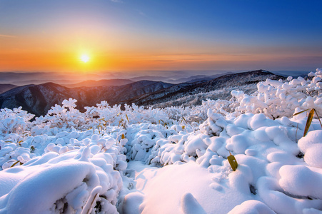 在韩国的冬天，白雪覆盖的德裕山山上的日出