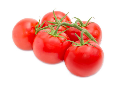 成熟的红番茄特写的分支