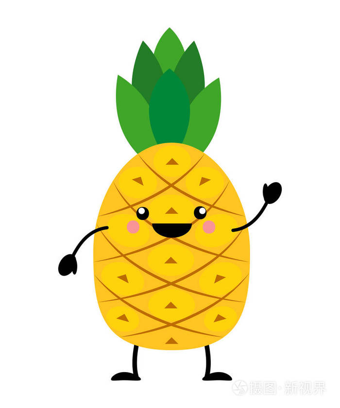 白色b 的扁平样式中的菠萝矢量图解