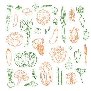 矢量手绘涂鸦蔬菜图标集插图