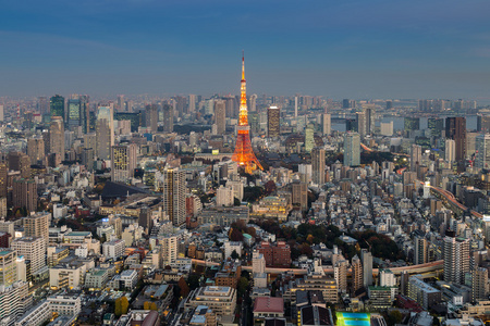 东京市中心鸟瞰图