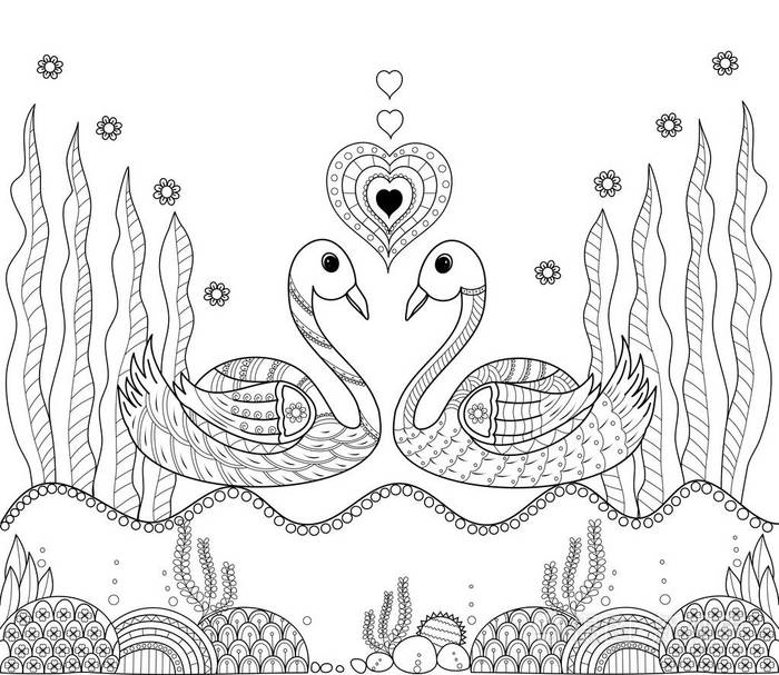 着色书页的天鹅夫妇为成人涂鸦风格矢量插图handdrawn
