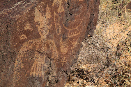 Petroglyph 国家纪念碑