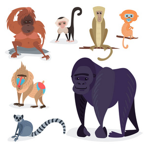不同的面包猴子字符动物的野生动物园大猩猩黑猩猩矢量图
