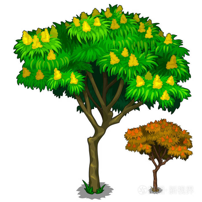 花与果实和秋季版本树