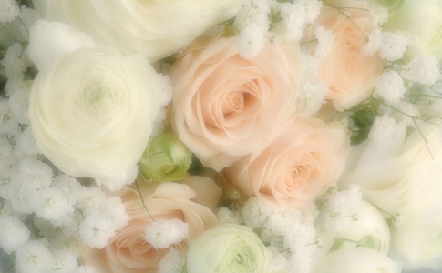 花卉背景。模糊效果, 柔和的焦点花卉背景与花束的淡粉红色玫瑰和白色石龙芮。关门了美丽的假期背景