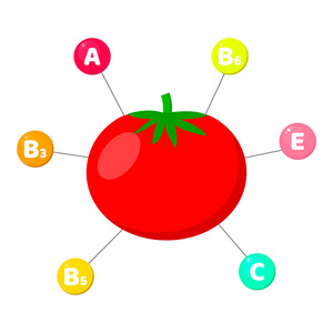 图表.蔬菜中含有的维生素。在有色圆圈中跟踪元素。番茄
