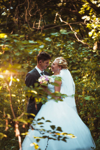 新娘和新郎的森林背景
