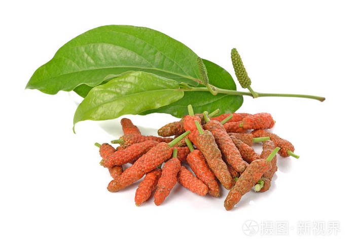 白色背景的长胡椒