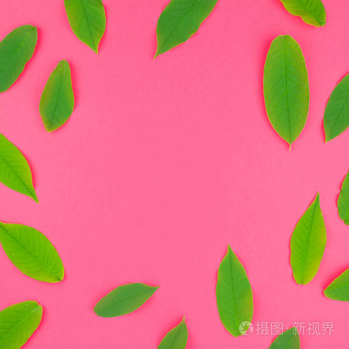 创意平躺在明亮的粉红色正方形背景与新鲜的绿叶的顶部视图模式与复制
