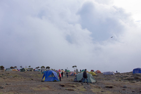 跟踪上乞力马扎罗山上 Machame 路线威士忌