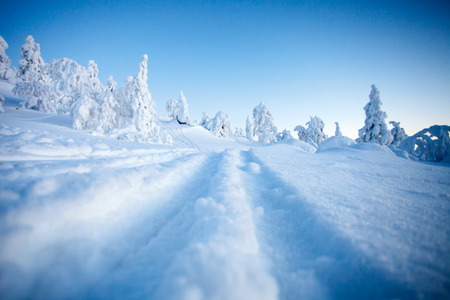 寒冷的冬天，在芬兰