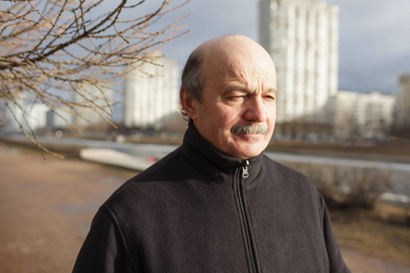 孤独的老猴面包树图片