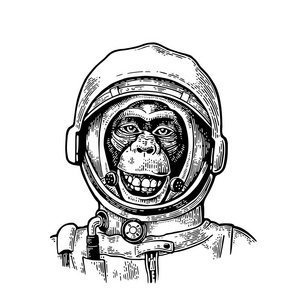 猴子在宇航员头盔。老式黑雕刻