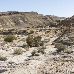 在以色列内盖夫沙漠的岩石山丘。令人叹为观止的景观的在以色列沙漠南部的沙漠岩层