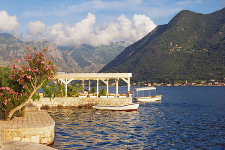 美丽的地中海风景。黑山, Kotor 湾。Perast 古镇观