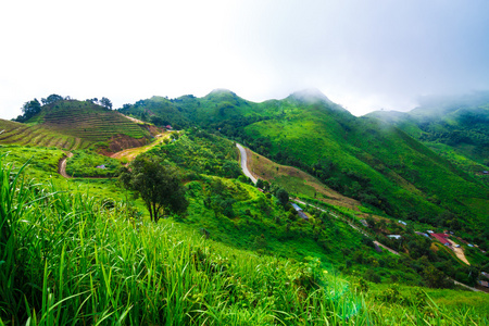 在早上山风景