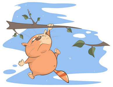 树上的可爱猫咪照片