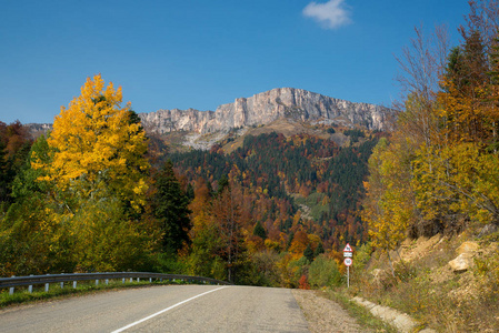 Adygea 山中的金色秋天