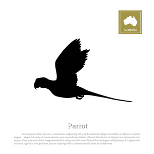 一只鹦鹉在白色背景上的黑色剪影。澳大利亚的动物