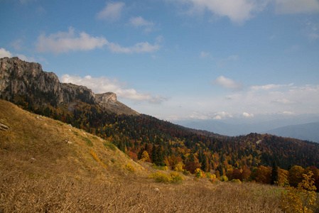 Adygea 山中的金色秋天