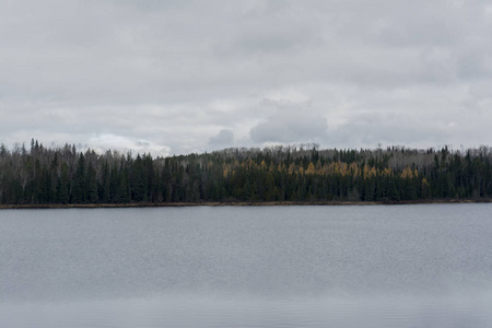 秋天湖风景与树线