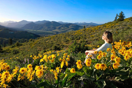 华盛顿州的度假旅行。妇女坐在山金车花或 Balsamroot 向日葵在山上与美丽的景色。帕特森山。北瀑布国家公园。温思罗普。美利