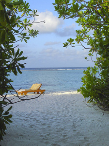 通过绿色植物到马尔代夫岛上的蓝色海洋的私人海滩的观点