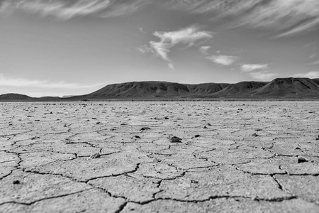 库泽河干河床中休息两根棍子的南非干咸肉条牛肉干咸肉条枝,bitoning