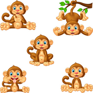 卡通猴子收藏集照片